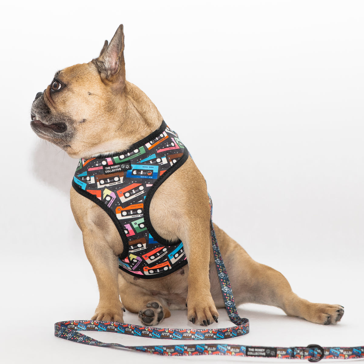 CASSETTE KID The Rosey Collective