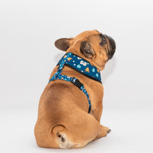 Load image into Gallery viewer, Puppuccino Reversible Harness