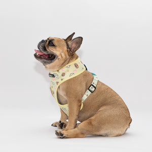 Matchy Mochi Reversible Harness