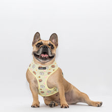 Load image into Gallery viewer, Matchy Mochi Reversible Harness