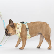 Load image into Gallery viewer, Matchy Mochi Reversible Harness