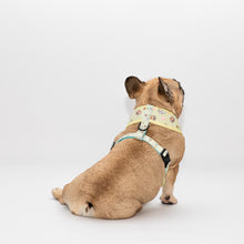 Load image into Gallery viewer, Matchy Mochi Reversible Harness