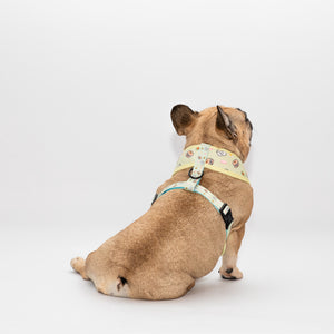 Matchy Mochi Reversible Harness