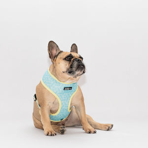 Matchy Mochi Reversible Harness