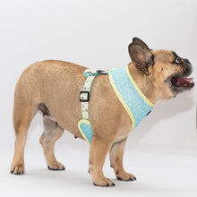 Load image into Gallery viewer, Matchy Mochi Reversible Harness