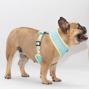 Matchy Mochi Reversible Harness