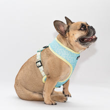 Load image into Gallery viewer, Matchy Mochi Reversible Harness