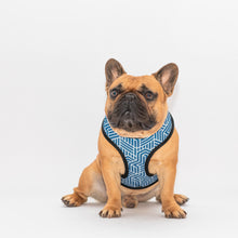 Load image into Gallery viewer, Puppuccino Reversible Harness