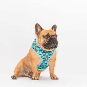 Sea Life Reversible Harness