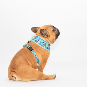 Sea Life Reversible Harness