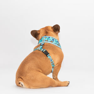 Sea Life Reversible Harness