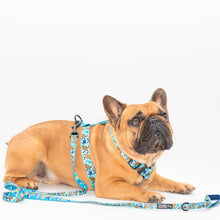 Load image into Gallery viewer, Sea Life Leash