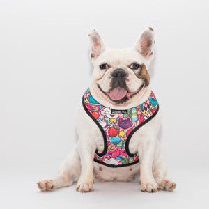 Euphoria X Brainfreeze Reversible Harness