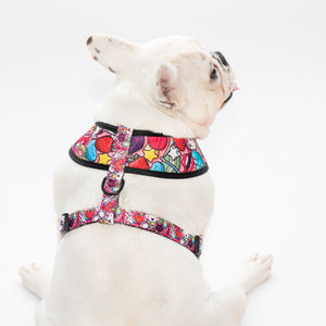 Euphoria X Brainfreeze Reversible Harness