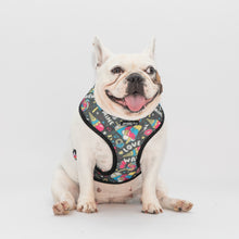 Load image into Gallery viewer, Euphoria X Brainfreeze Reversible Harness