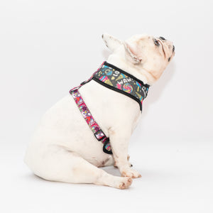 Euphoria X Brainfreeze Reversible Harness