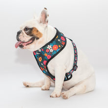 Load image into Gallery viewer, Groovy Baby X Lush Reversible Harness