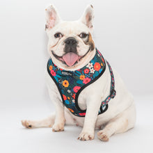 Load image into Gallery viewer, Groovy Baby X Lush Reversible Harness