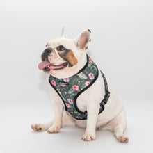 Load image into Gallery viewer, Groovy Baby X Lush Reversible Harness