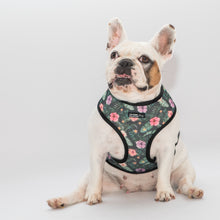 Load image into Gallery viewer, Groovy Baby X Lush Reversible Harness