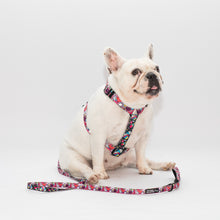 Load image into Gallery viewer, Groovy Baby X Lush Leash