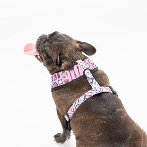 Glamorous Reversible Harness