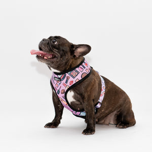 Glamorous Reversible Harness