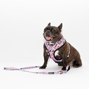 Glamorous Reversible Harness