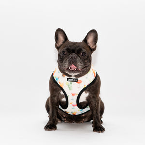 Glamorous Reversible Harness