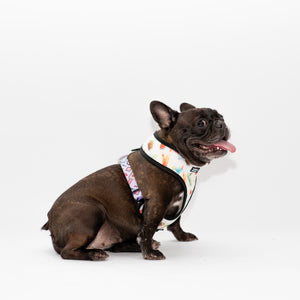 Glamorous Reversible Harness