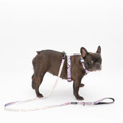 Glamorous Leash