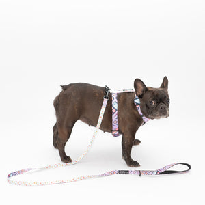 Glamorous Leash