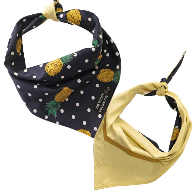 PineDapper Bandana