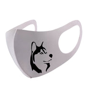 Siberian Husky Head