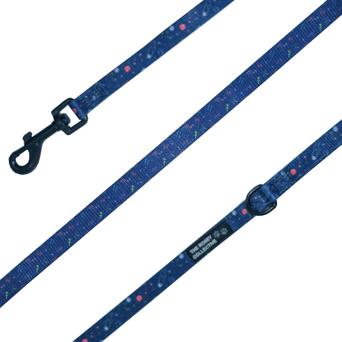 Constellation Nation Leash