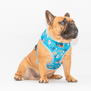 Sea Life Reversible Harness