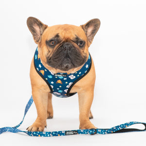 Puppuccino Reversible Harness