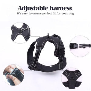 Black Reflective Harness