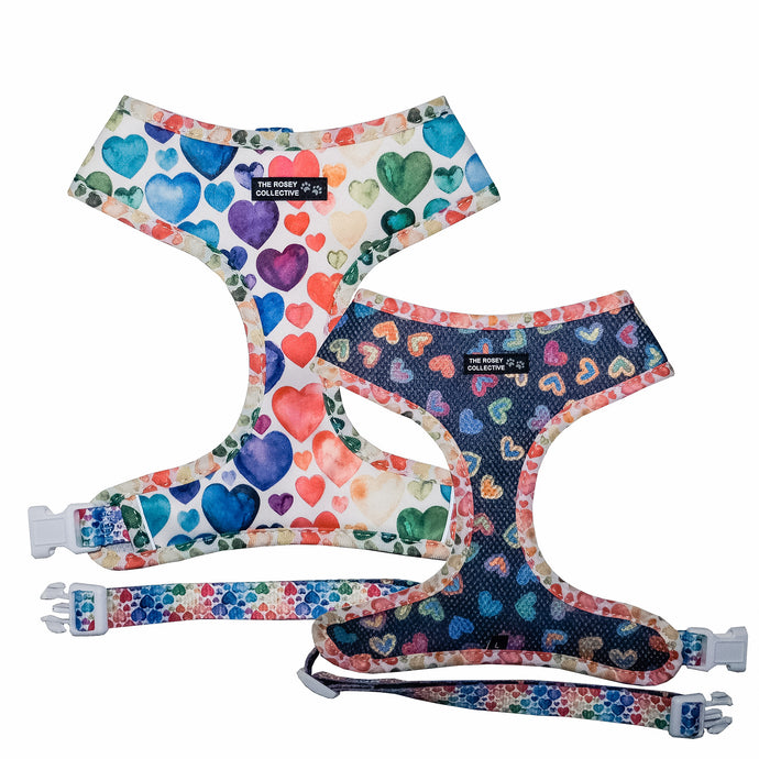 Hearts of Love Reversible Harness