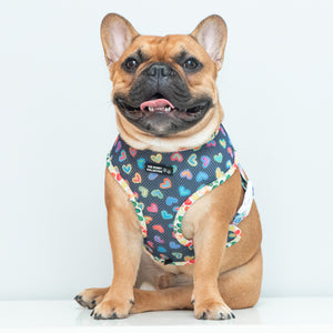 Hearts of Love Reversible Harness